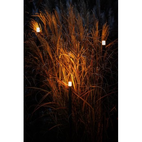 Zwarte moderne tuinlamp Barite 60 van Lightpro 12v verlichting
