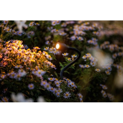 Tuinlamp Xible 12 volt tuinverlichting van lightpro flexibele slang armatuur in kleur antraciet
