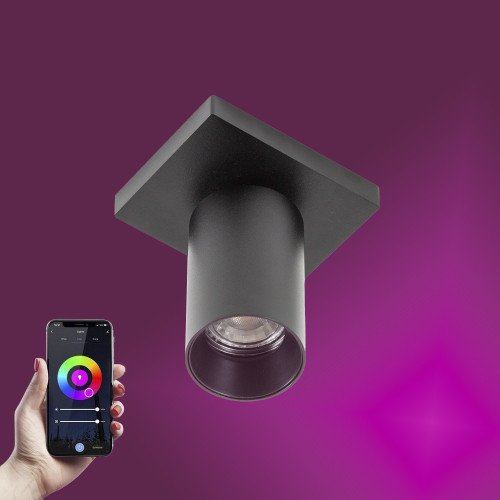 Smart mila opbouwspot rond gu10 plafondlamp
