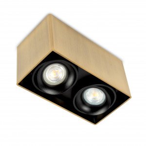 Richtbare opbouwspot Bjorn 2 Messing rechthoekig