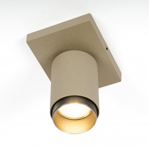 Plafondspot Scott binnenverlichting champagne aluminium modern