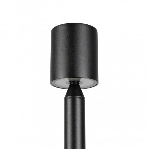 Issy tuinlamp zwart small bij siergras met neerwaarts licht. Compact LED armatuur met grondspie, IP65 en IP68-connector