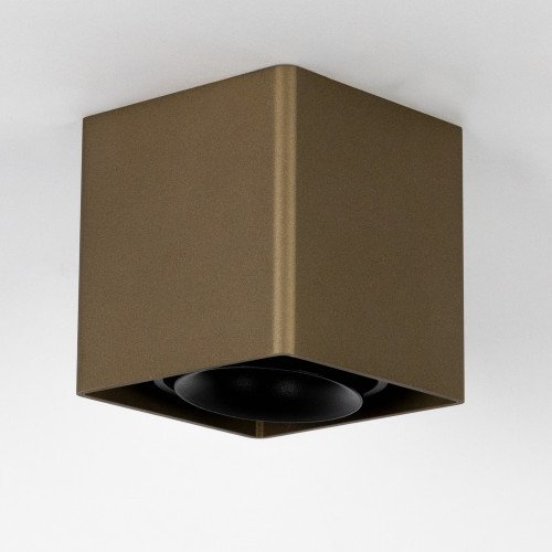 Binnenverlichting Bjorn opbouwspot brons modern