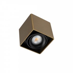 Binnenverlichting Bjorn opbouwspot brons modern