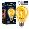 Sensor LED 3W dag/nacht