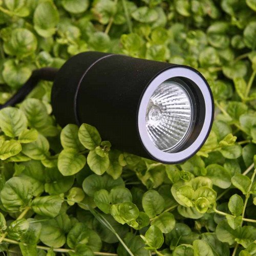 Tuinspot LED pin met gu10 fitting de ideale tuinspot met grondpin snoer en stekker zeer gebruiksvriendelijk de ideale tuinspot van KS Verlichting