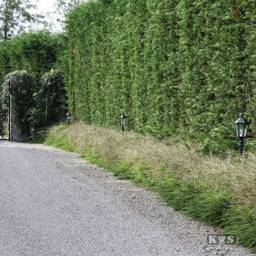 Koblenz (5003) - KS Verlichting - Buitenverlichting Zeskant