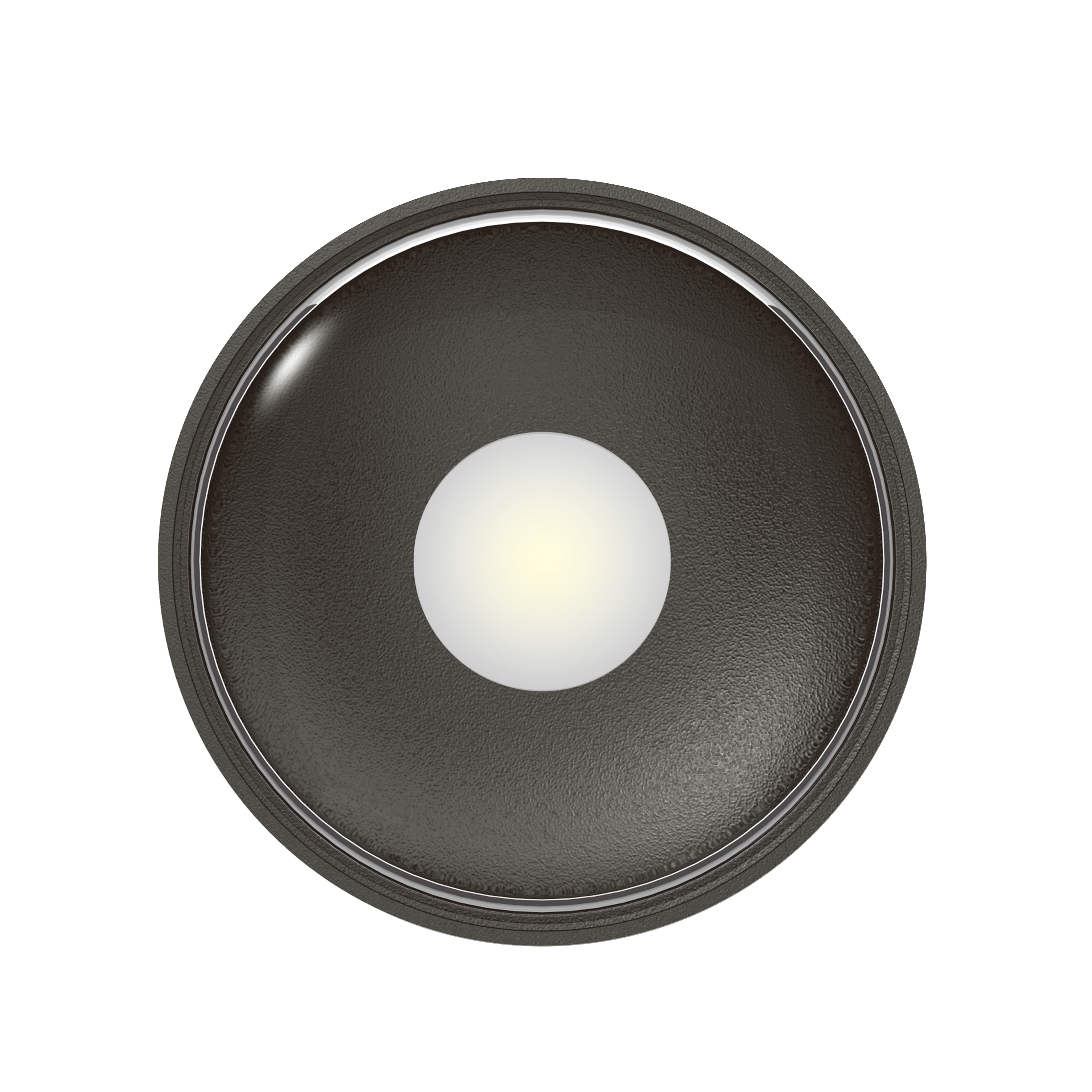 Icon plafonniere antraciet Icon plafonniere antraciet