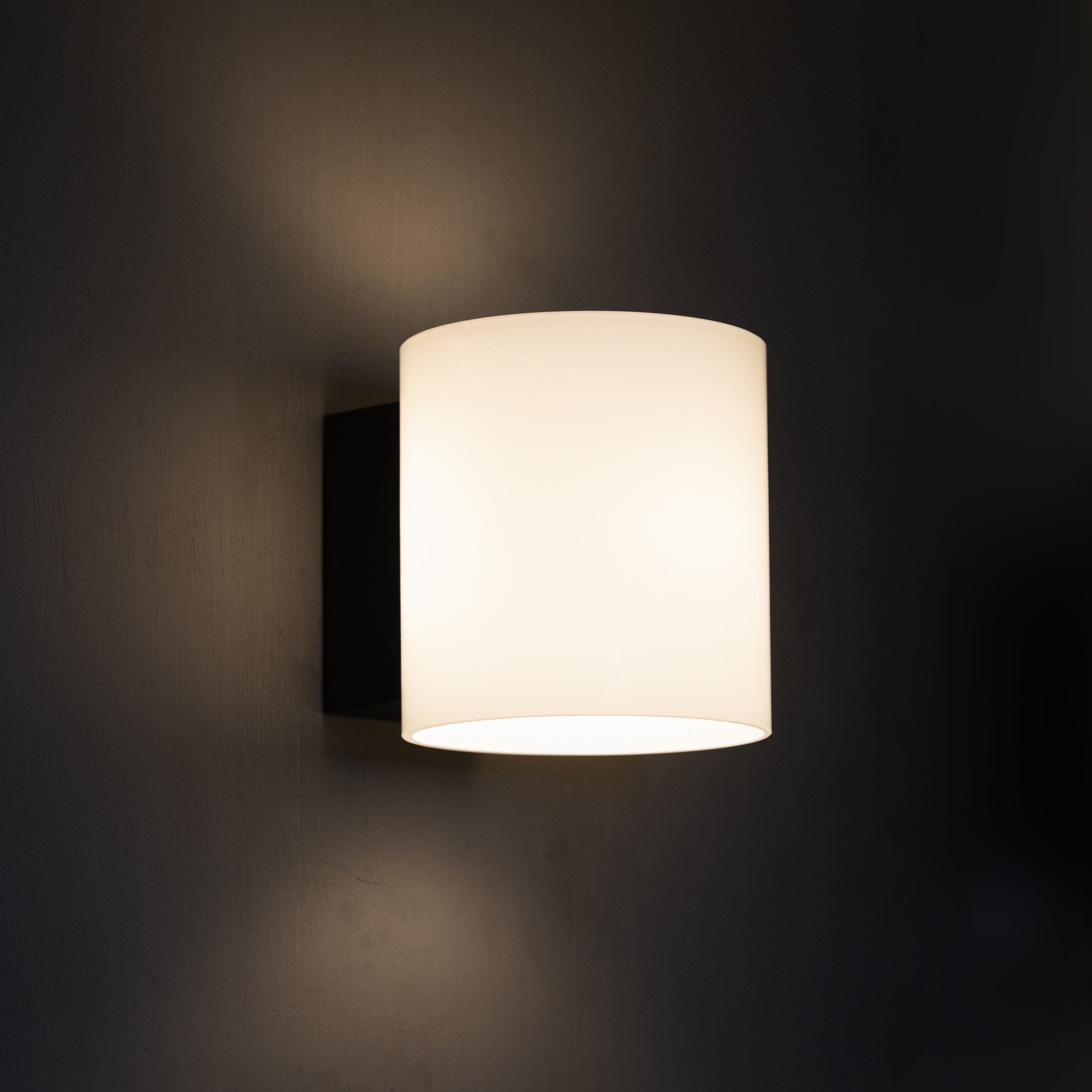 Bright wandspot wit up/down buitenlamp Bright wandspot wit up/down buitenlamp